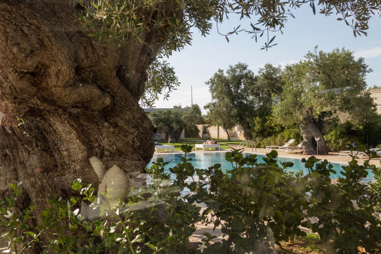 Masseria Torre Del Diamante ตอร์เรกันเน ภายนอก รูปภาพ